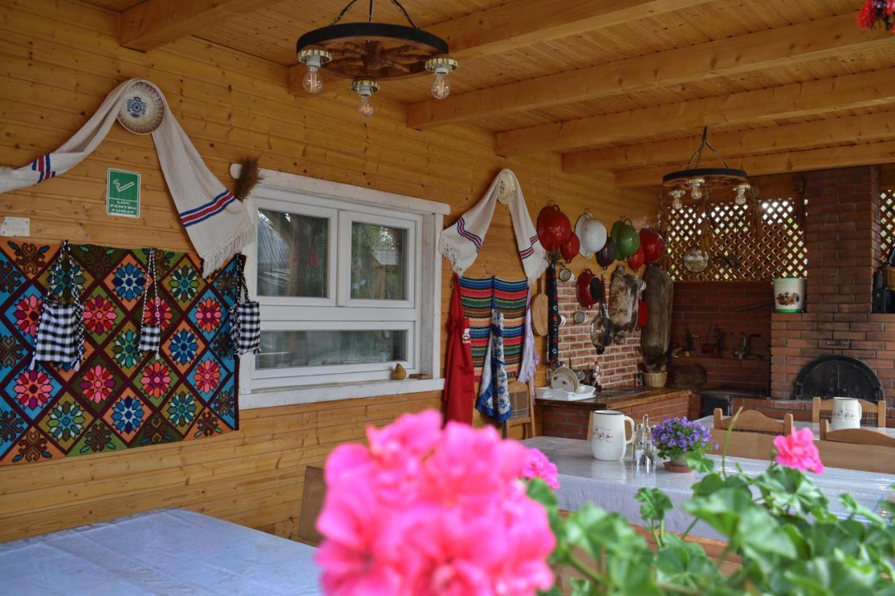 Hotel Casa Vladicu Breb Zewnętrze zdjęcie