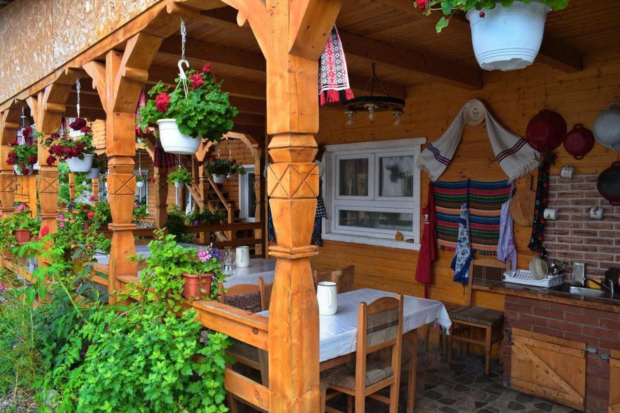 Hotel Casa Vladicu Breb Zewnętrze zdjęcie