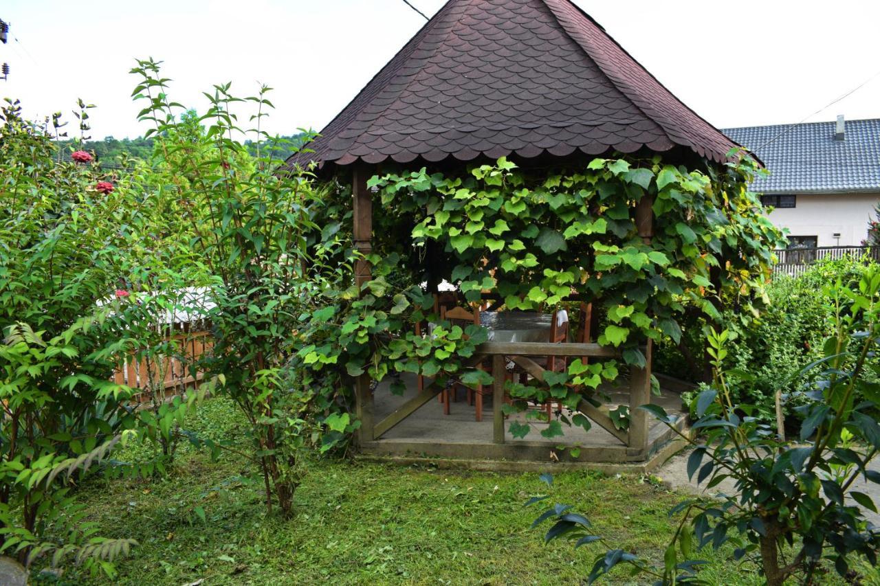 Hotel Casa Vladicu Breb Zewnętrze zdjęcie